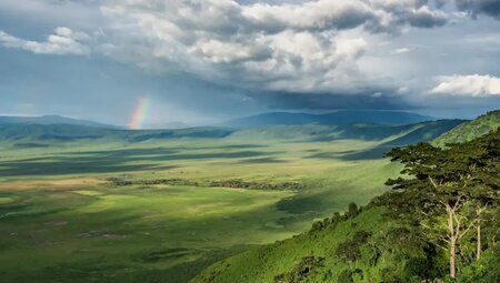 Tansania - Safari intensiv (Reiseverlängerung)