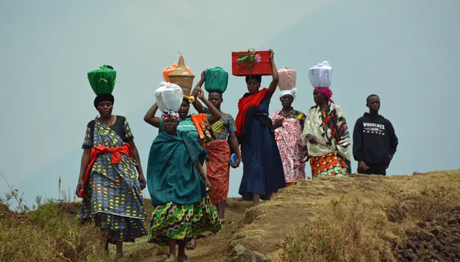 Uganda, Ruanda – Gorilla-Tracking und Ruwenzori-Gebirge