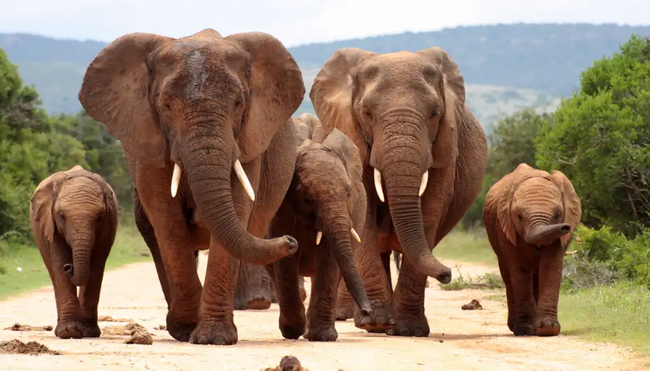 Südafrika – Wanderreise entlang der Garden Route