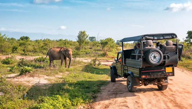 Südafrika - Durch Königreiche nach Kapstadt