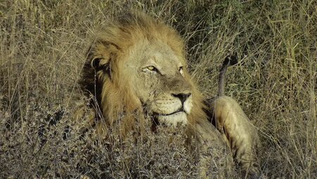 Südafrika - Trekking und Wandern im Regenbogenland