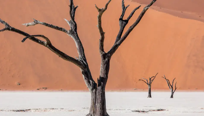 Südliches Afrika – Camping-Safari im Outback Afrikas