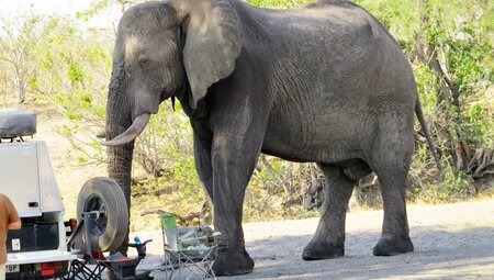 Botswana mit Egmont Strigl – Das grüne Herz der Kalahari