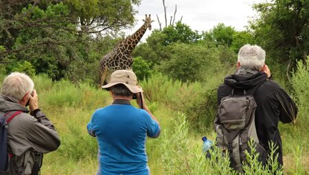Botswana mit Egmont Strigl – Das grüne Herz der Kalahari
