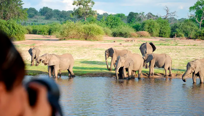 Botswana mit Egmont Strigl – Das grüne Herz der Kalahari