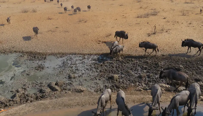 Namibia - Wüstenimpressionen und Tiervielfalt (Selfguided)