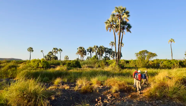 Namibia mit Egmont Strigl – Reise durch die Namib Wüste