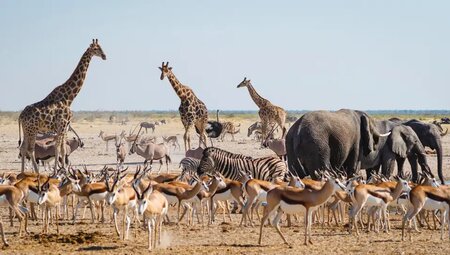 Namibia, Botswana – Erongo-Gebirge, Safari und Viktoriafälle