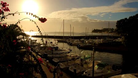 La Réunion - Tropisches Europa
