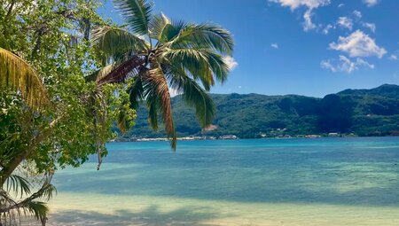 Seychellen - Naturwunder zwischen Traumstränden und Granitfelsen