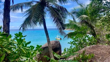 Seychellen - Naturwunder zwischen Traumstränden und Granitfelsen
