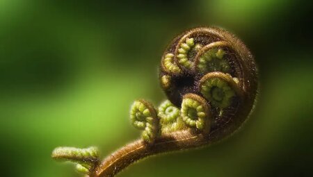 Neuseeland - Vielfalt zwischen Vulkanen und Regenwäldern