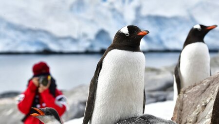 Antarctic Peninsula: An Immersive Odyssey