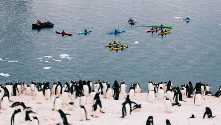 Antarctic Peninsula: The Classic Voyage