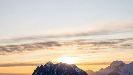 Best of Antarctica: Whale Journey 