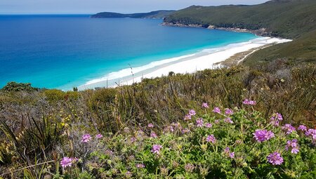 Hike the Bibbulmun Track: Albany to Denmark