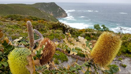 Hike the Bibbulmun Track: Walpole to Denmark