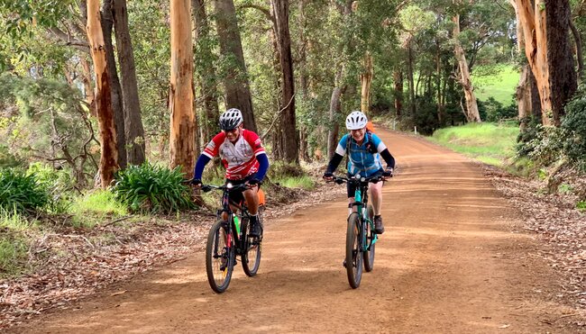 Cycle the Munda Biddi Trail: Albany to Walpole