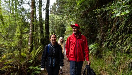 Walk Tasmania's Tarkine & Cradle Mountain