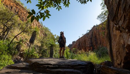 Wild Kimberley Overland 
