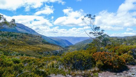 Trek the Cradle Mountain Overland Track 