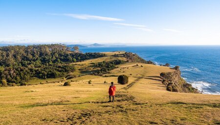 Tasmania's Maria Island Walk (Portered)