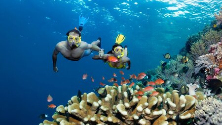 Melbourne to Cairns Adventure