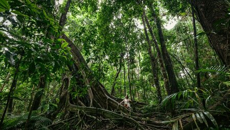 North Queensland Adventure