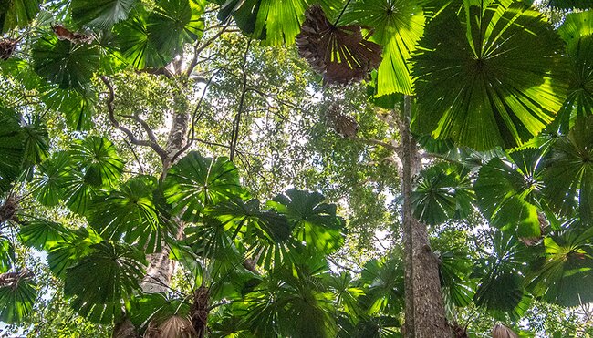 East Coast Australia Adventure