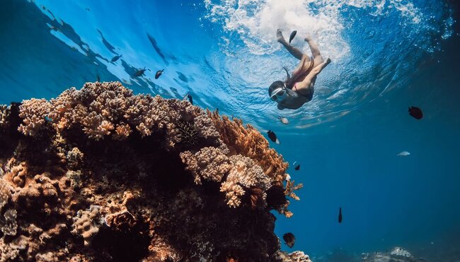 West Coast Adventure (Northbound)