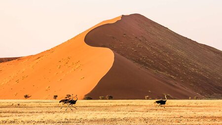 Africa Encompassed Northbound