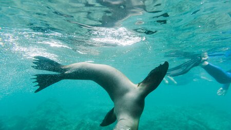 Galapagos Family Holiday