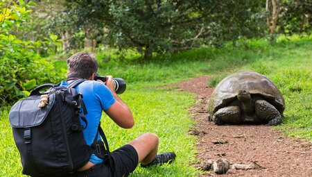 Galapagos at a Glance: Southern Islands (Grand Daphne)