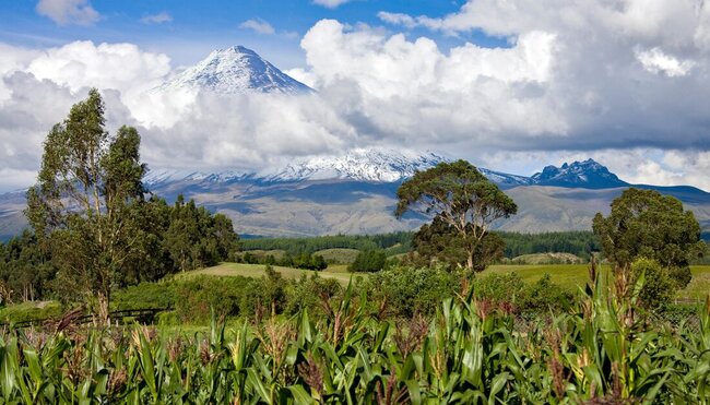 Mainland Ecuador and Galapagos Cruise 