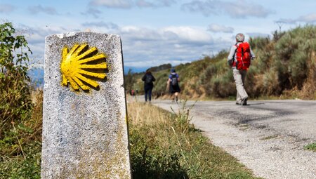 Walk the Camino de Santiago