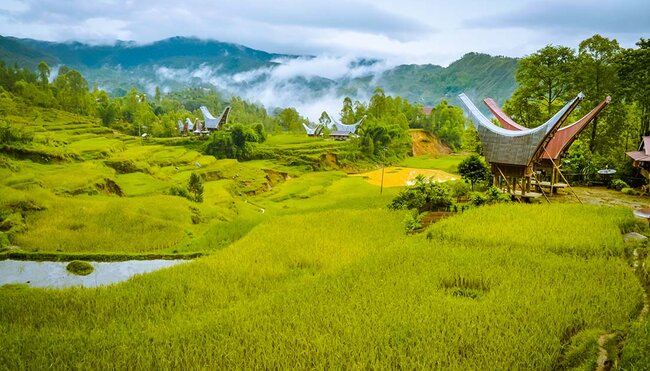 Indonesia Expedition: Sulawesi & Toraja Tribes