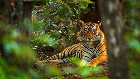 North India Highlights