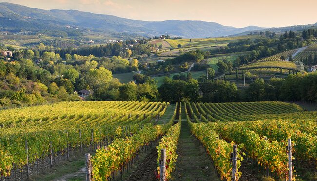 Premium Rome to Venice