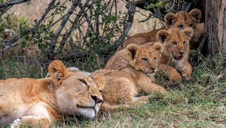 Kenya and Tanzania Family Safari 