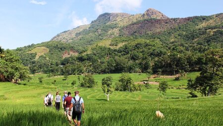 Sri Lanka: Hike, Bike & Kayak