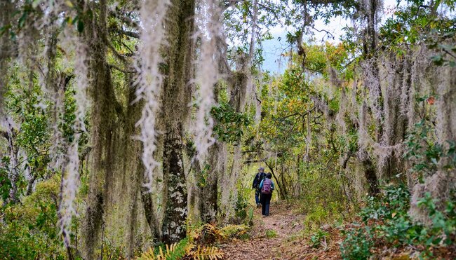 Hiking in Mexico: Oaxaca’s Indigenous Highlands