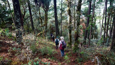 Hiking in Mexico: Oaxaca’s Indigenous Highlands