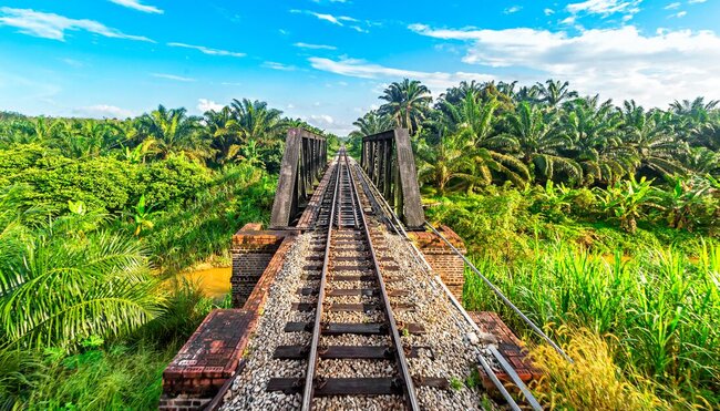 Malaysia's Jungle Railway Adventure