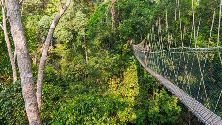 Malaysia's Jungle Railway Adventure