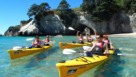 New Zealand's North to South Island Adventure 