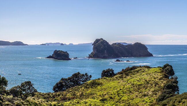 New Zealand's South to North Island Adventure 