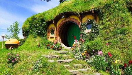 New Zealand's South to North Island Adventure 