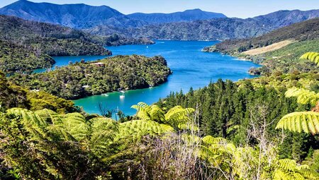 Walk New Zealand's Abel Tasman & Queen Charlotte