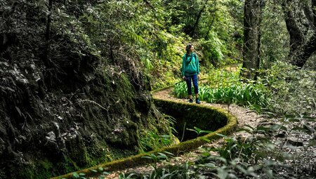 Premium Walking & Hiking in Madeira