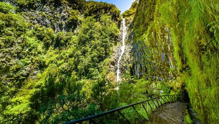 Premium Walking & Hiking in Madeira